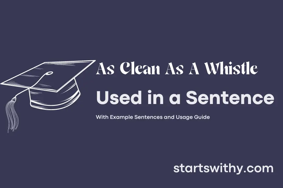 sentence with As Clean As A Whistle