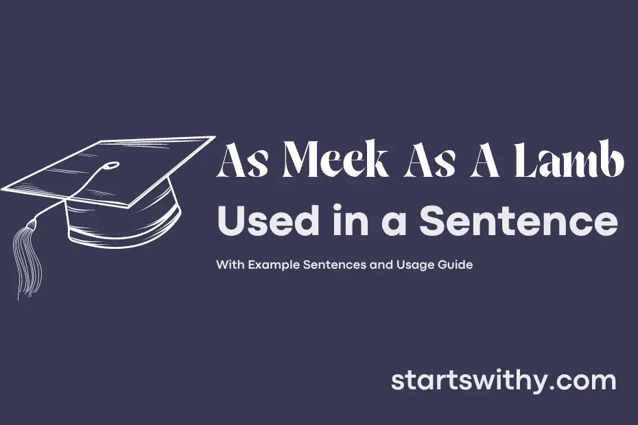 sentence with As Meek As A Lamb