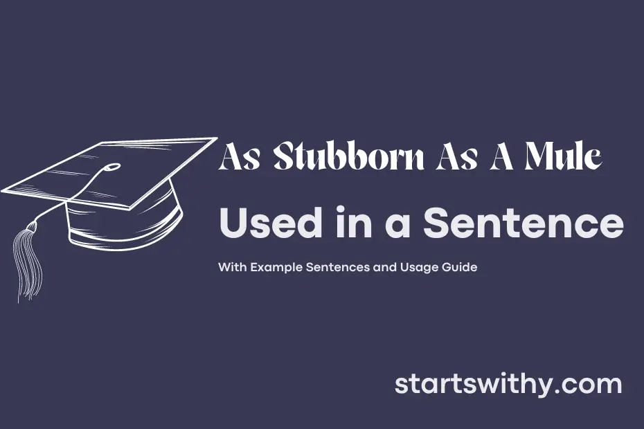sentence with As Stubborn As A Mule