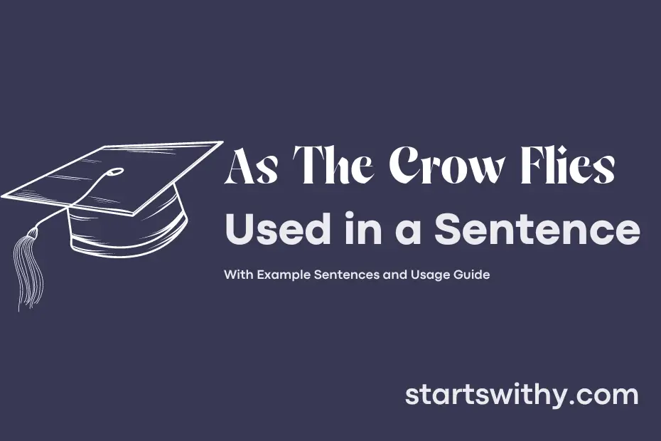 sentence with As The Crow Flies