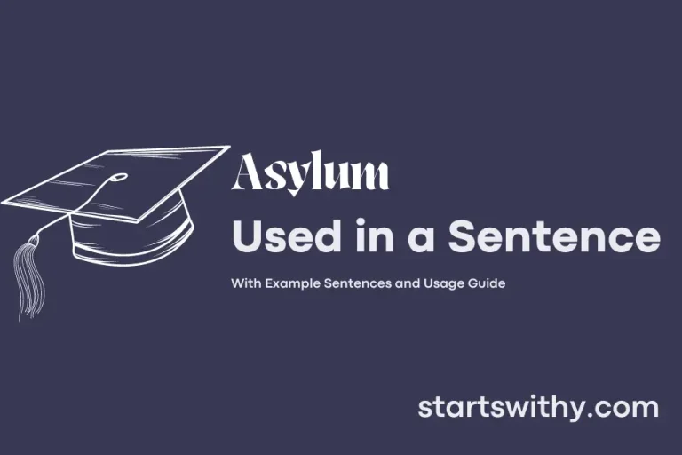 asylum-in-a-sentence-examples-21-ways-to-use-asylum