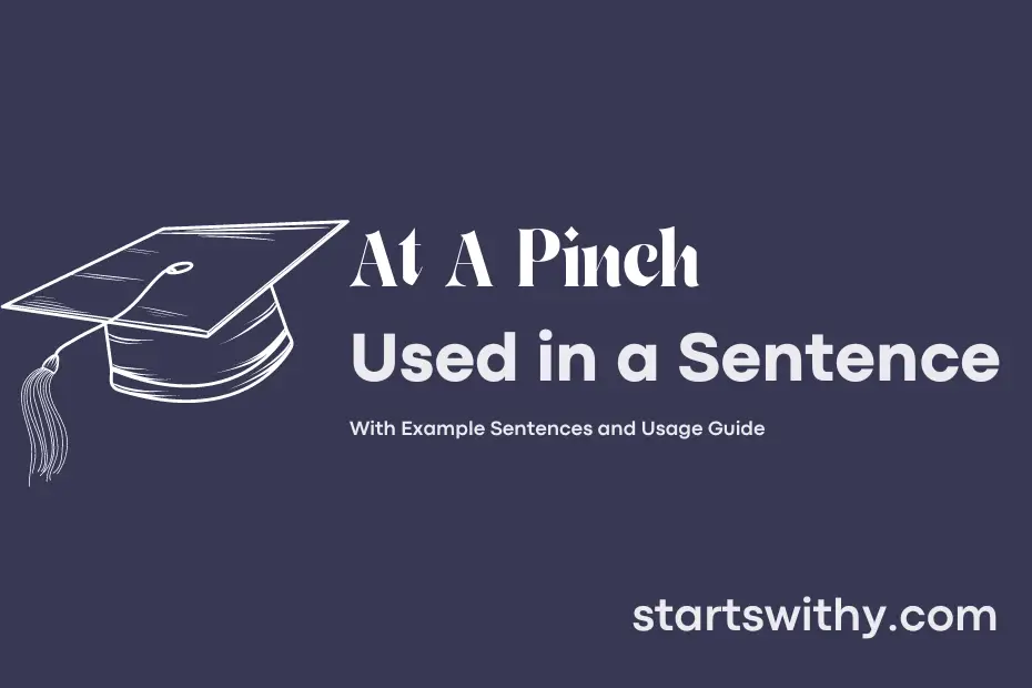 sentence with At A Pinch