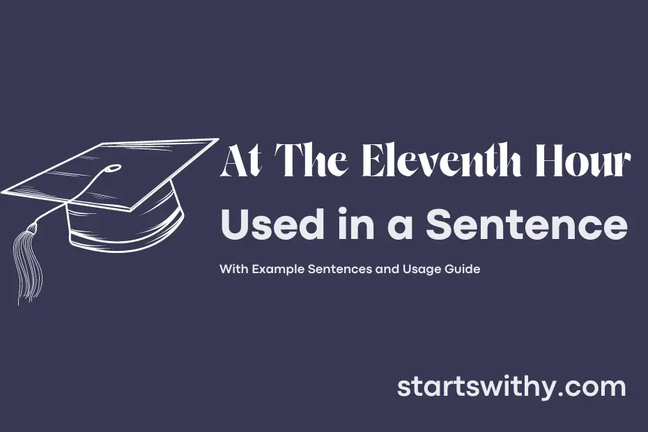 sentence with At The Eleventh Hour