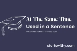 AT THE SAME TIME EXAMPLE SENTENCE visual data 2
