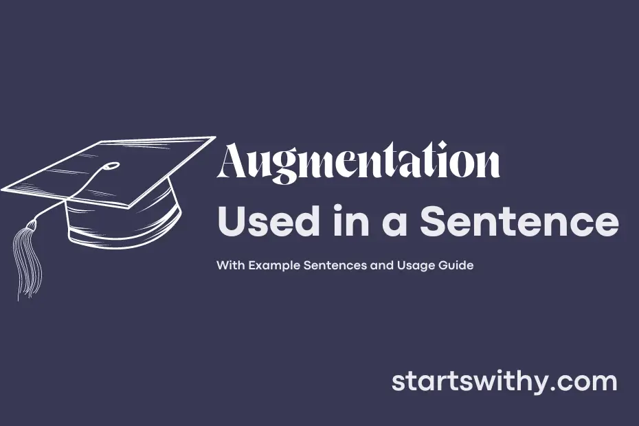 sentence with Augmentation