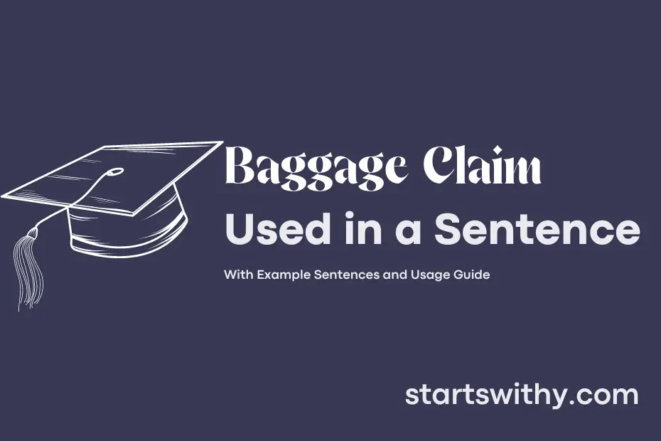sentence with Baggage Claim