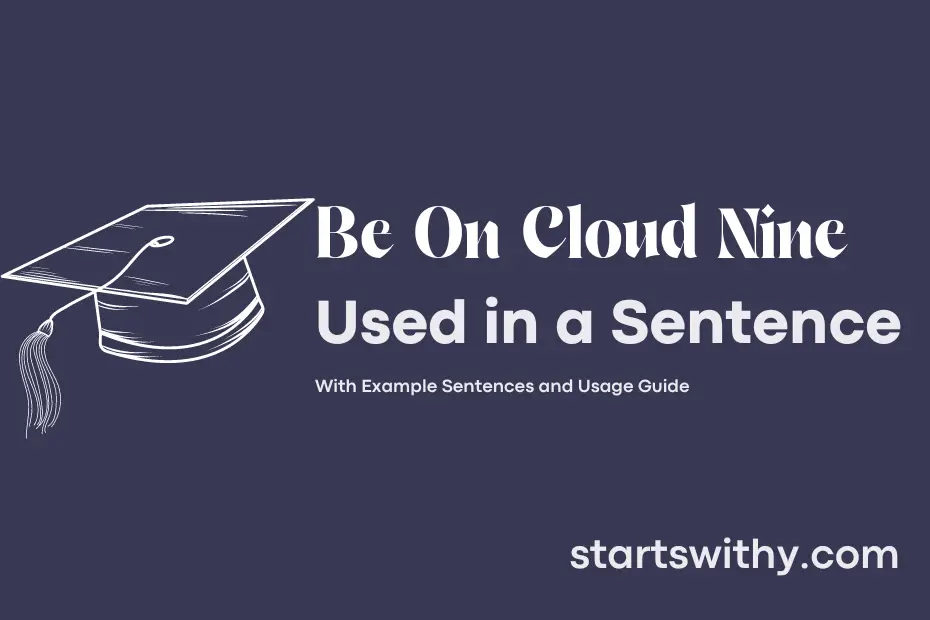sentence with Be On Cloud Nine