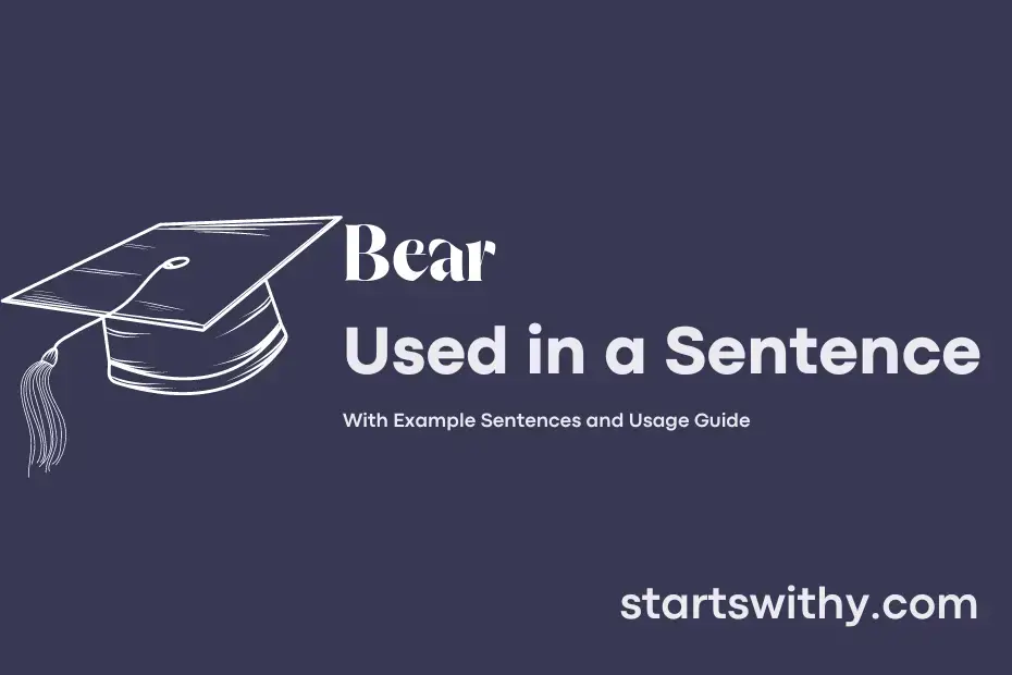 sentence with Bear