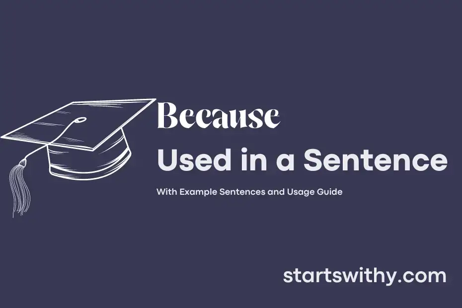 sentence with Because