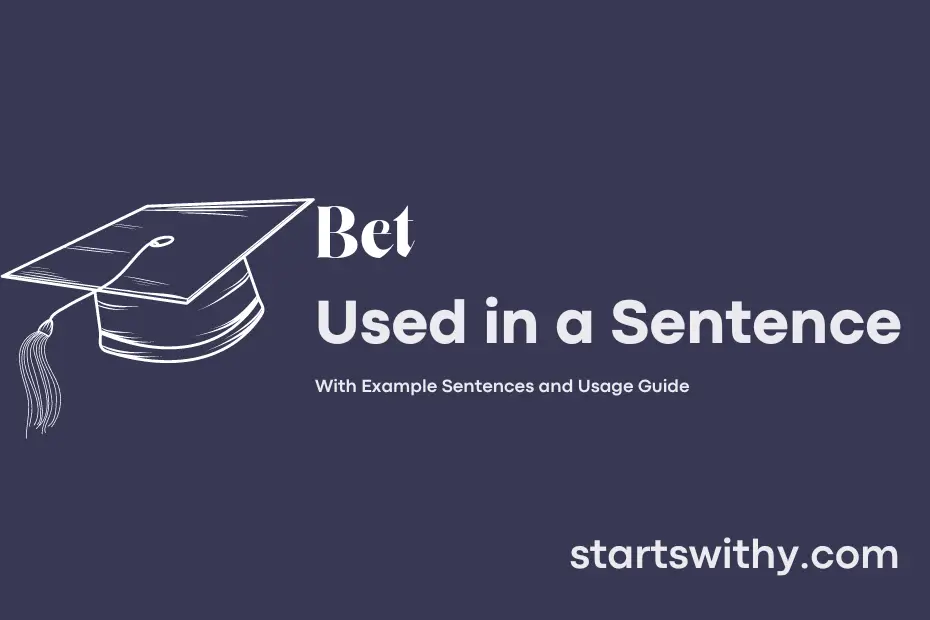 sentence with Bet