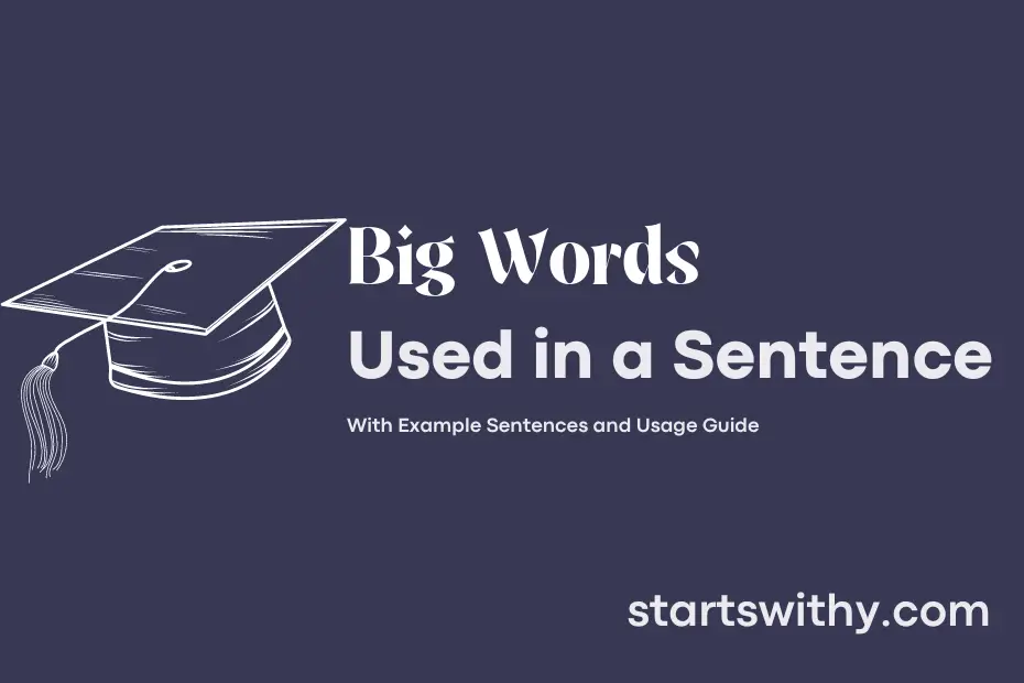 sentence with Big Words