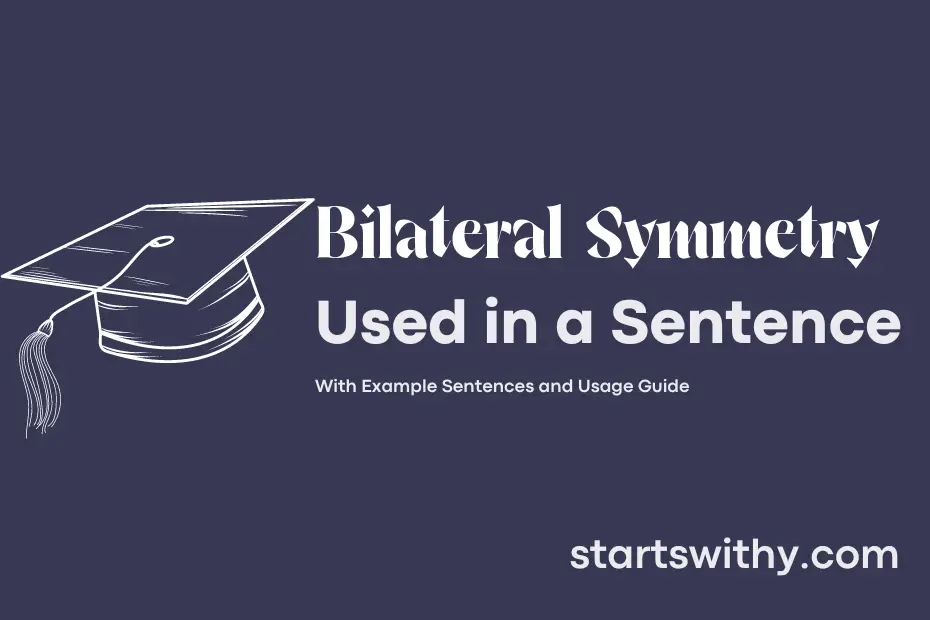 sentence with Bilateral Symmetry
