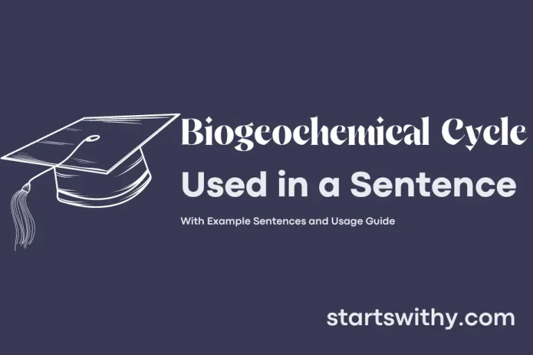 BIOGEOCHEMICAL CYCLE in a Sentence Examples 21 Ways to Use