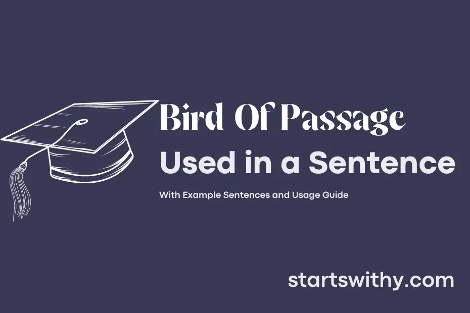 sentence with Bird Of Passage