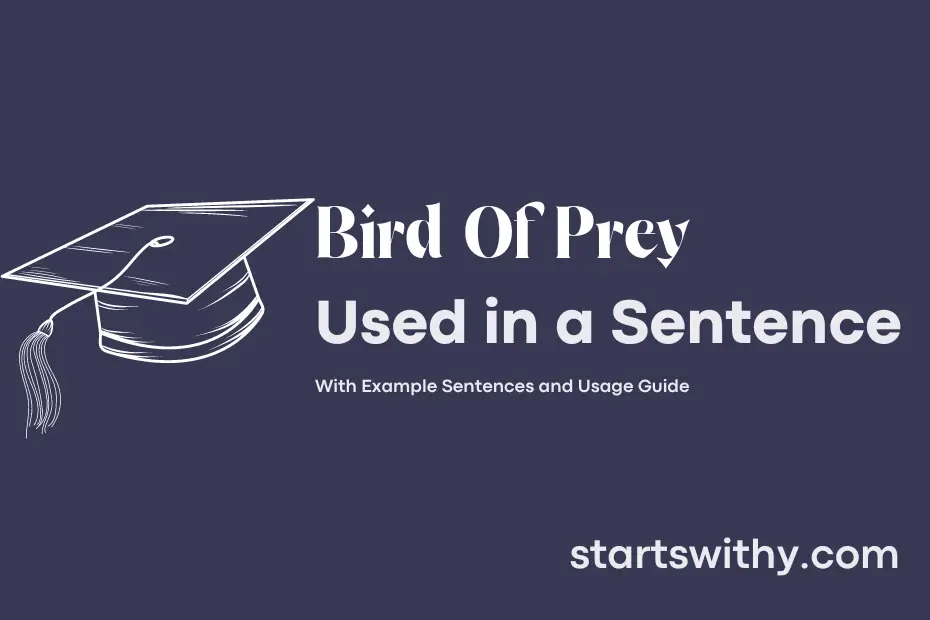 sentence with Bird Of Prey