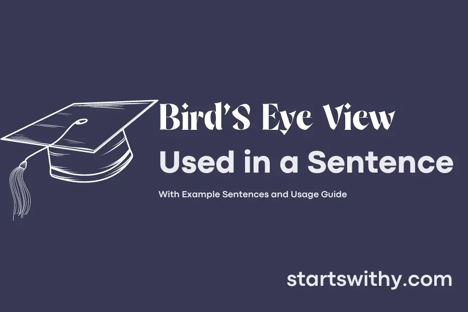 sentence with Bird'S Eye View