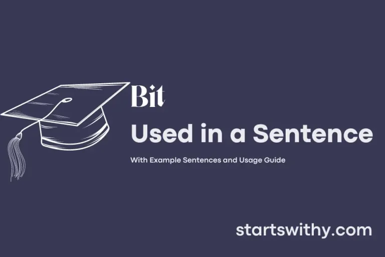 BIT in a Sentence Examples 21 Ways to Use Bit
