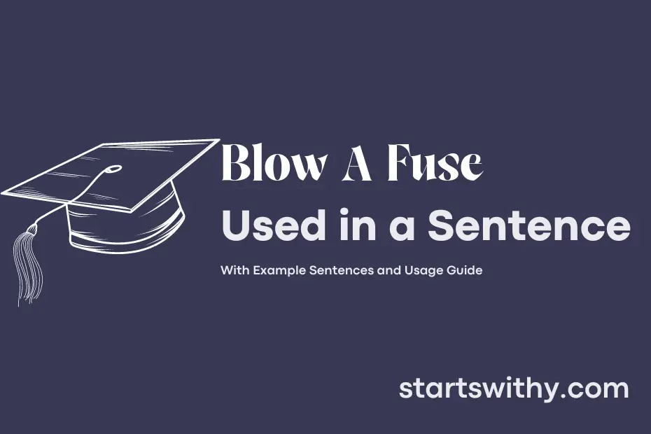 sentence with Blow A Fuse