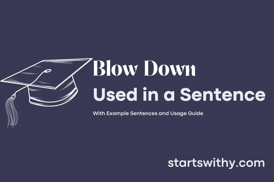 sentence with Blow Down