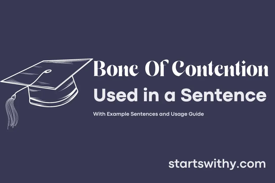 sentence with Bone Of Contention