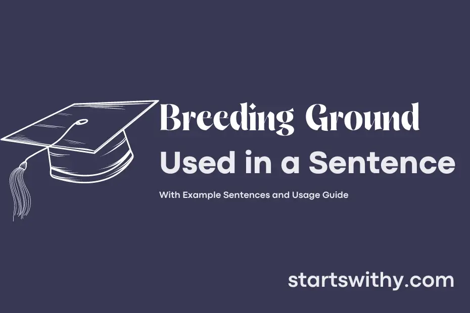 sentence with Breeding Ground