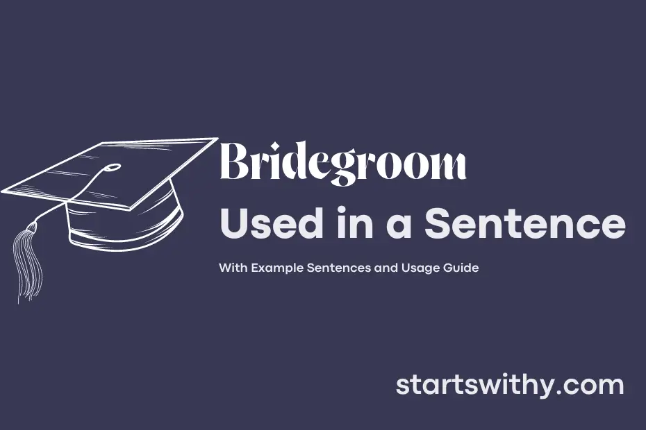 sentence with Bridegroom
