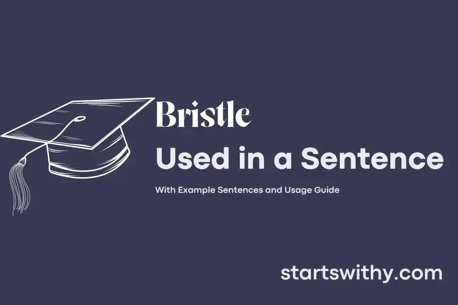 sentence with Bristle