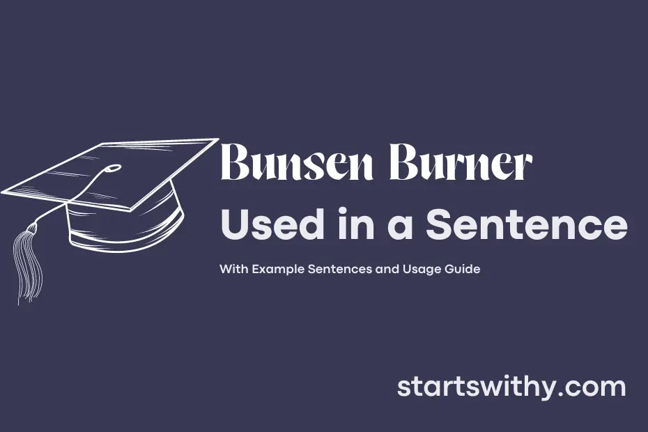 sentence with Bunsen Burner