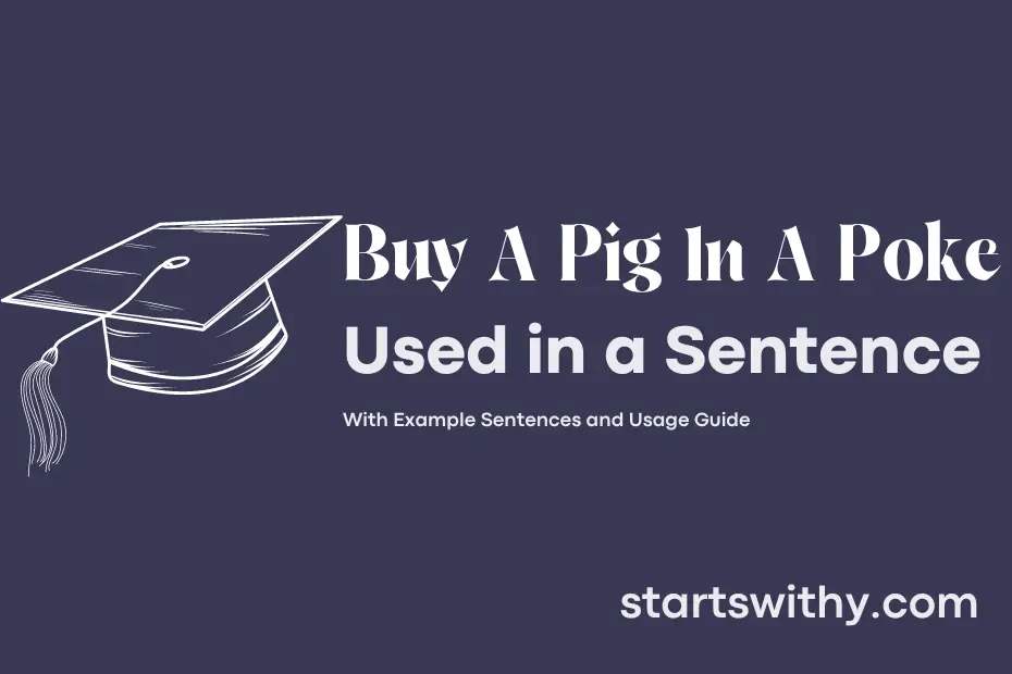 sentence with Buy A Pig In A Poke