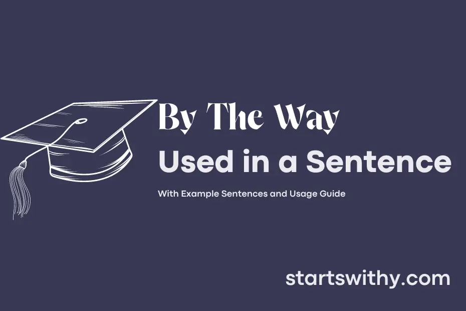 sentence with By The Way