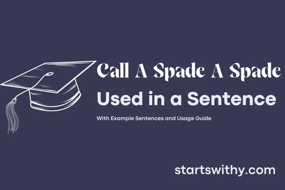 sentence with Call A Spade A Spade