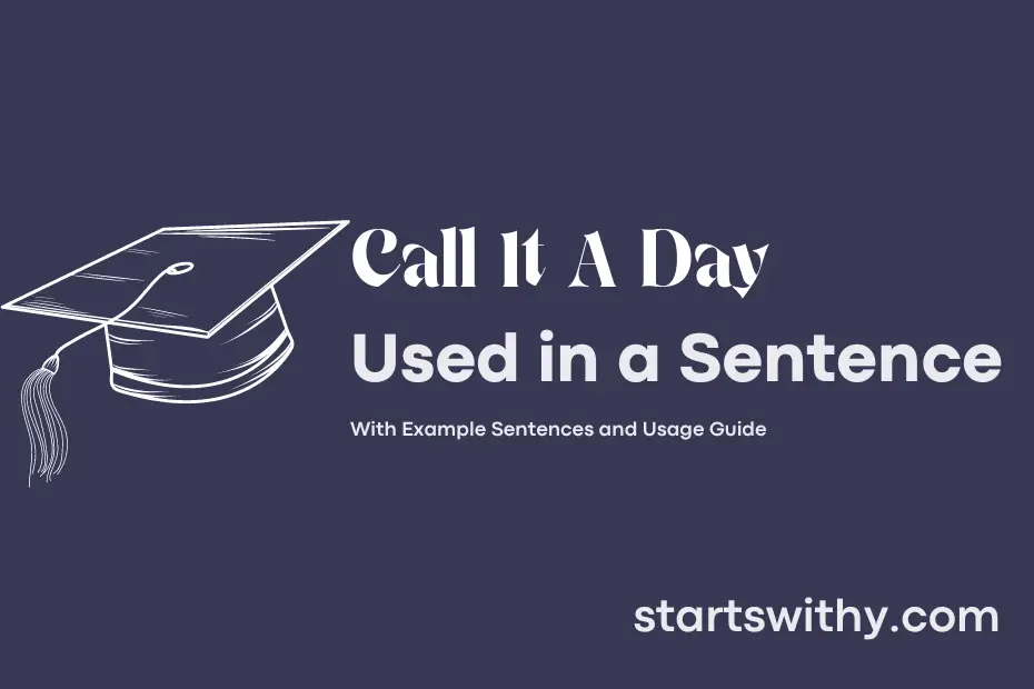 sentence with Call It A Day