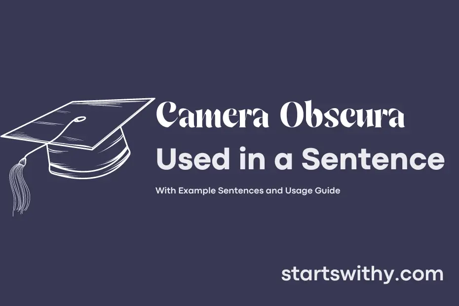 sentence with Camera Obscura