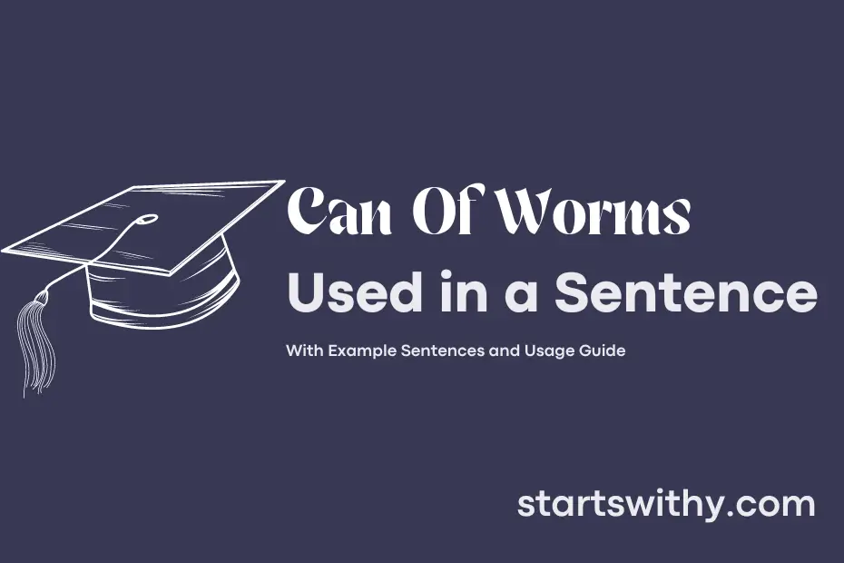 sentence with Can Of Worms