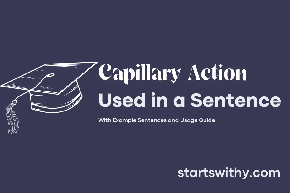 sentence with Capillary Action