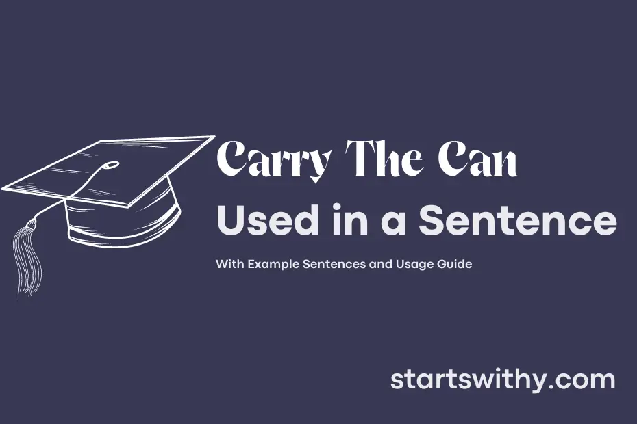 sentence with Carry The Can