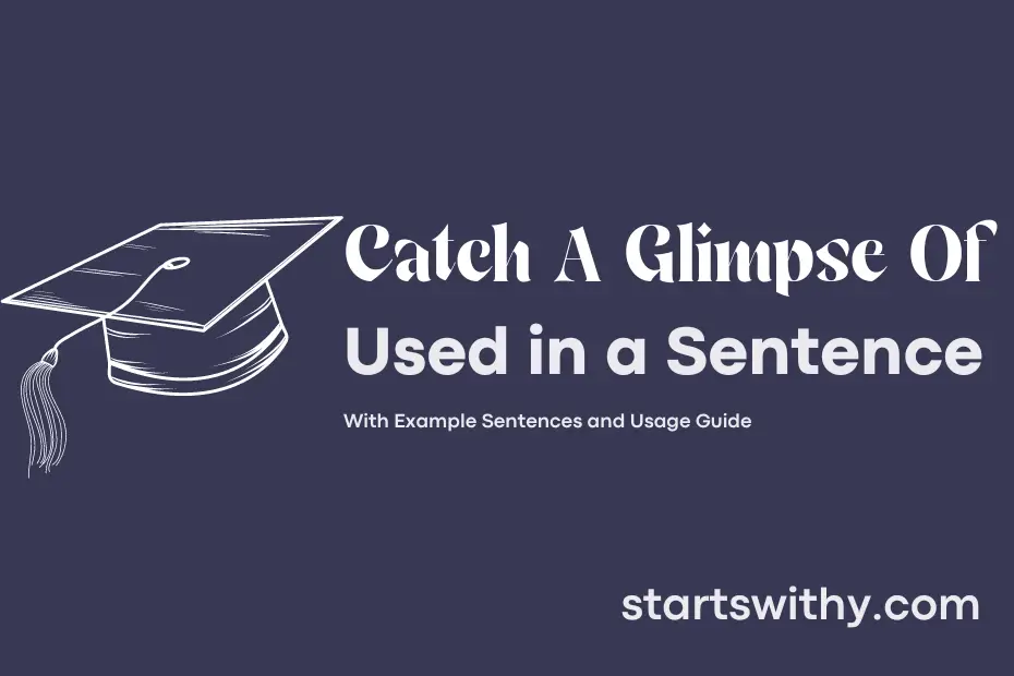 sentence with Catch A Glimpse Of