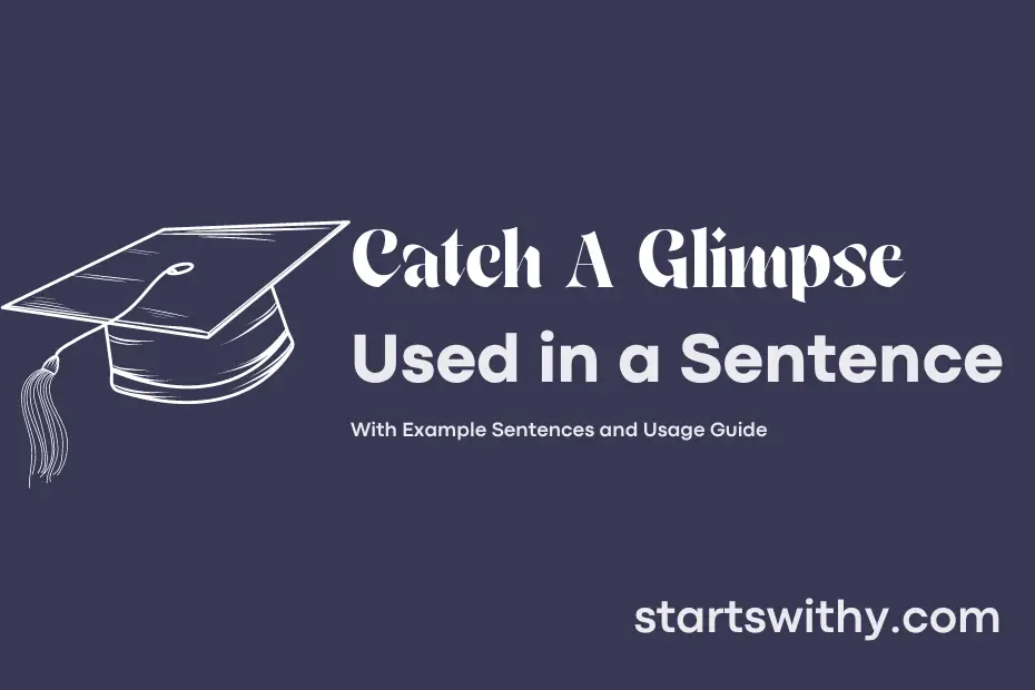 sentence with Catch A Glimpse