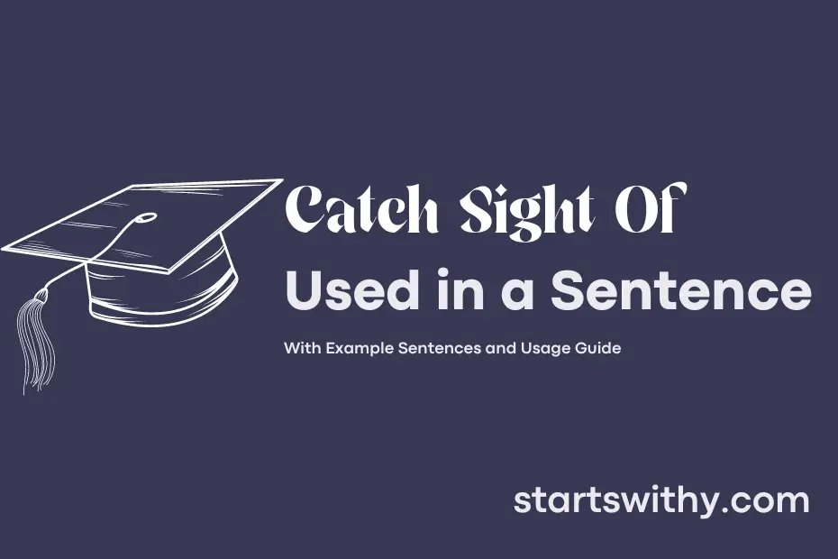 sentence with Catch Sight Of