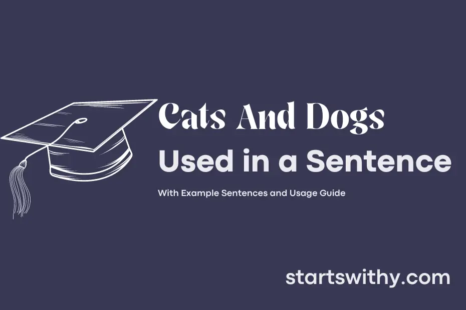 sentence with Cats And Dogs