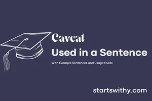 CAVEAT in a Sentence Examples: 21 Ways to Use Caveat