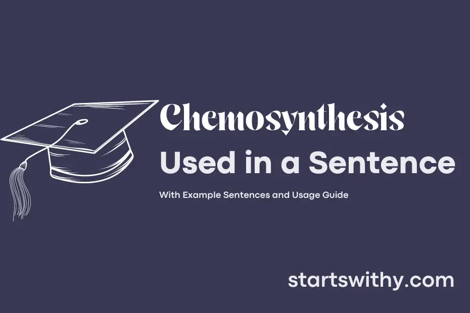sentence with Chemosynthesis