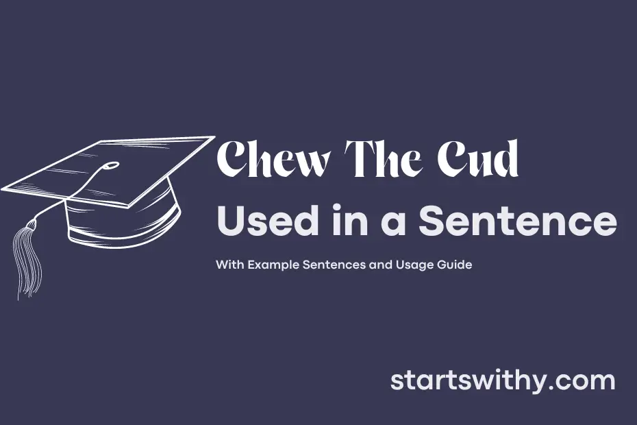 sentence with Chew The Cud