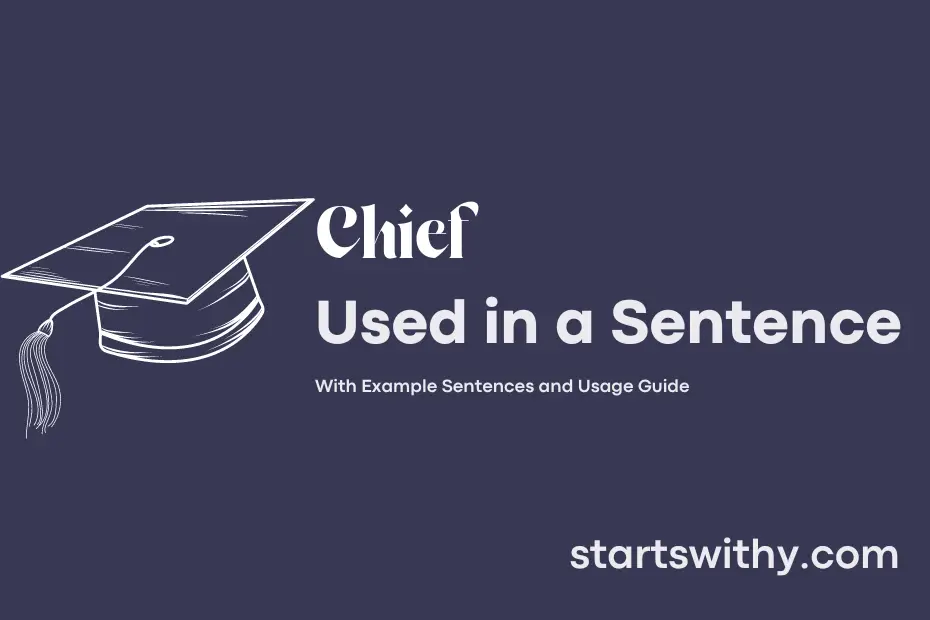 sentence with Chief