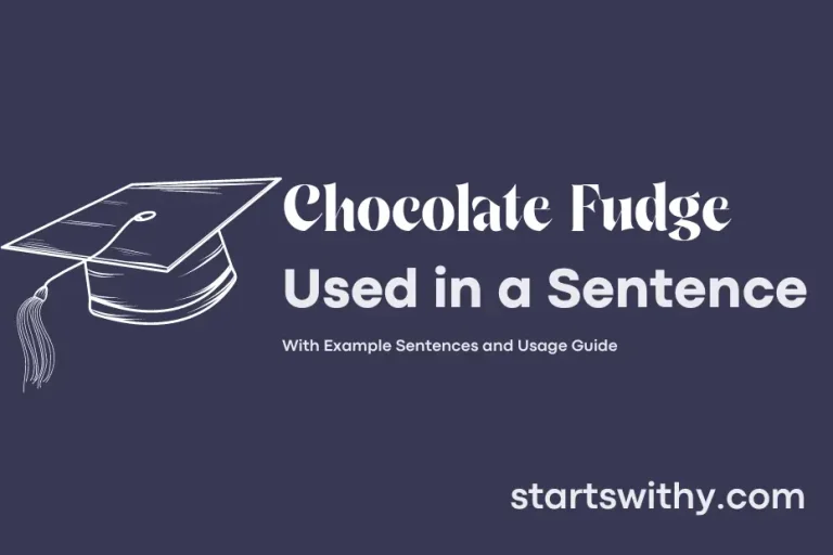 CHOCOLATE FUDGE in a Sentence Examples 21 Ways to Use Chocolate Fudge