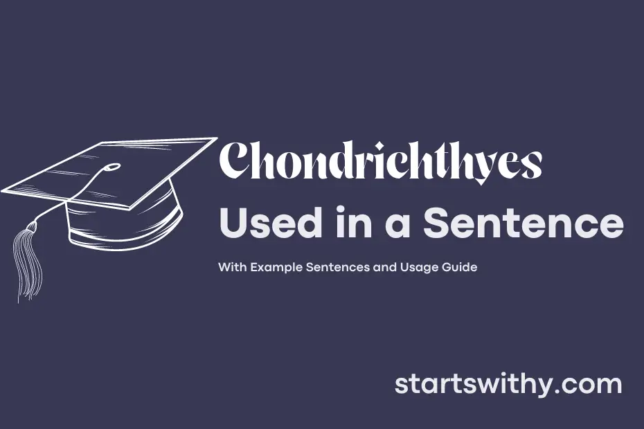 sentence with Chondrichthyes