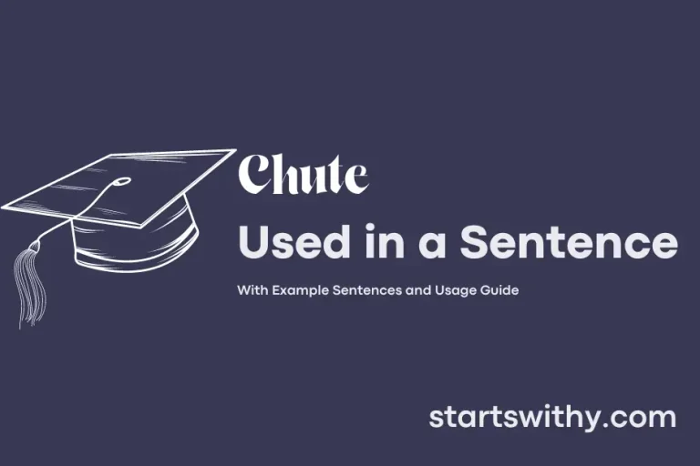 CHUTE in a Sentence Examples 21 Ways to Use Chute