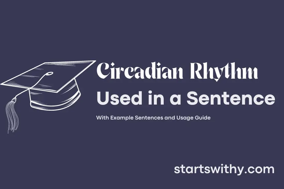 sentence with Circadian Rhythm