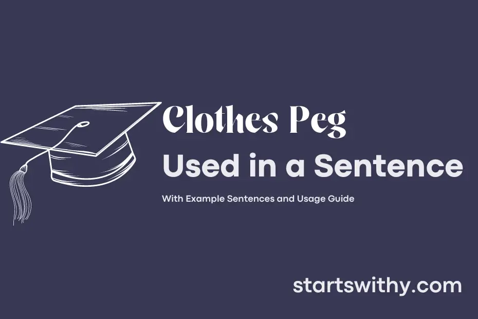 sentence with Clothes Peg