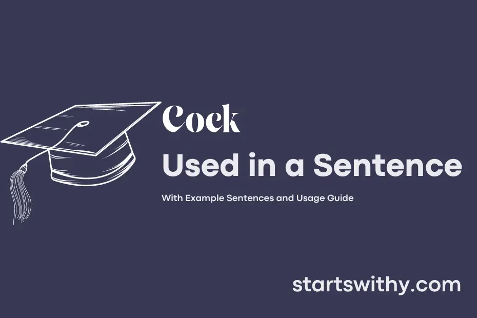 sentence with Cock